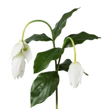 Decorative Medinilla TRUHAN branch, white, 31"/80cm Decorative Medinilla TRUHAN branch, white, 31"/80cm