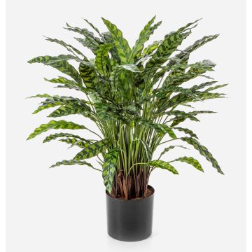 Artificial Calathea Rufibarba plant ADELFRIEDE, green, 35"/90cm Artificial Calathea Rufibarba plant ADELFRIEDE, green, 35"/90cm