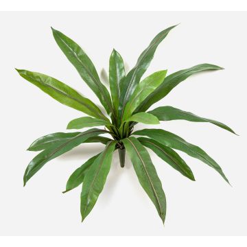 Artificial plant: Nest Fern JANE, stem, green, 40cm