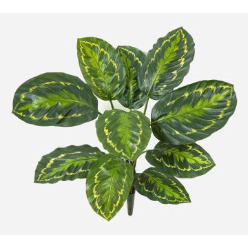 Artificial Calathea medallion FLEURETTA, stem, green and yellow, 20"/50cm Artificial Calathea medallion FLEURETTA, stem, green and yellow, 20"/50cm