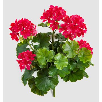 OTTAVIA artificial geranium on a stem, crossdoor, pink, 40cm