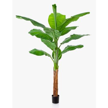 Artificial banana tree OMERA, 7ft/200cm Artificial banana tree OMERA, 7ft/200cm