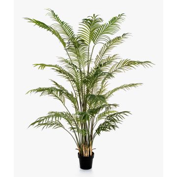 Artificial Areca palm LUVA, 7ft/205cm Artificial Areca palm LUVA, 7ft/205cm