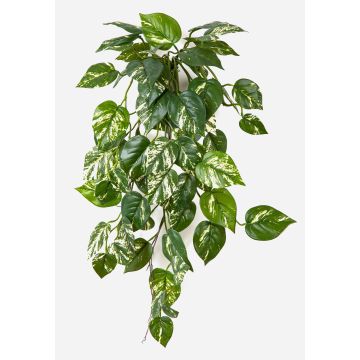 Artificial hanging plant: DRAGAN pothos on a support stick, flame-retardant, green-white, 28"/70cm Artificial hanging plant: DRAGAN pothos on a support stick, flame-retardant, green-white, 28"/70cm