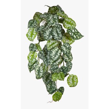 Artificial hanging plant: variegated ivy RONELIO on a support stick, flame-retardant, green and white, 70cm