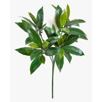 Artificial cherry laurel branch KAMIRAN, with fruit, crossdoor, 20"/50cm Artificial cherry laurel branch KAMIRAN, with fruit, crossdoor, 20"/50cm