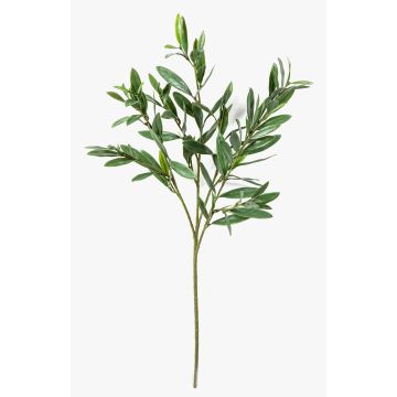 Artificial olive branch BRANDAR, crossdoor, green, 70cm
