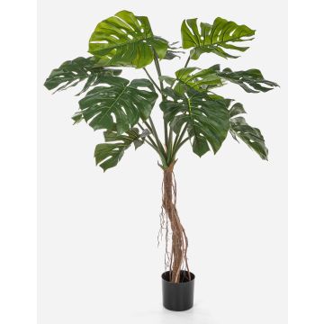 Artificial Philodendron Monstera Deliciosa IDALINA, roots, 4ft/130cm Artificial Philodendron Monstera Deliciosa IDALINA, roots, 4ft/130cm