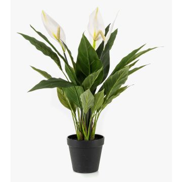 Artificial Spathiphyllum RANIESO, decorative pot, flowers, white, 22"/55cm