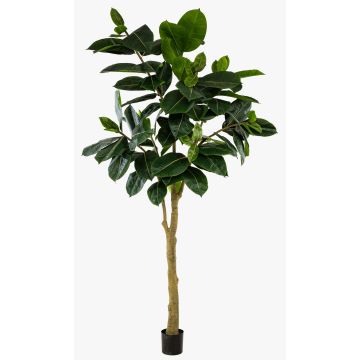 Artificial rubber tree BAKWEN, artificial trunk, green, 10ft/300cm