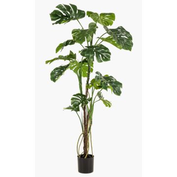 Artificial Philodendron monstera deliciosa TANIESO, artificial trunk, aerial roots, 6ft/180cm Artificial Philodendron monstera deliciosa TANIESO, artificial trunk, aerial roots, 6ft/180cm