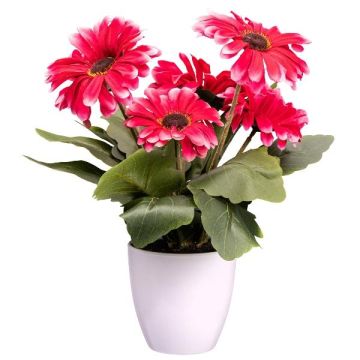 Artificial flower Gerbera KROLVEN in a white decorative pot, fuchsia, 11"/27cm