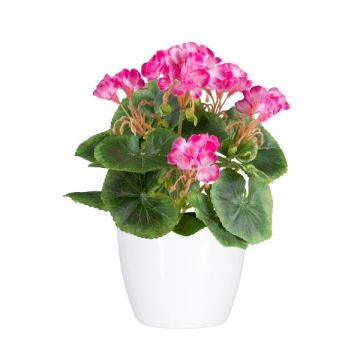 Fleur decorative Geranium CRONVEL in ceramic pot, crossdoor, fuchsia, 10"/25cm Fleur decorative Geranium CRONVEL in ceramic pot, crossdoor, fuchsia, 10"/25cm