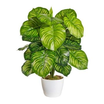 Artificial Calathea Orbifolia BLAHEN, ceramic pot, green, 20"/50cm Artificial Calathea Orbifolia BLAHEN, ceramic pot, green, 20"/50cm