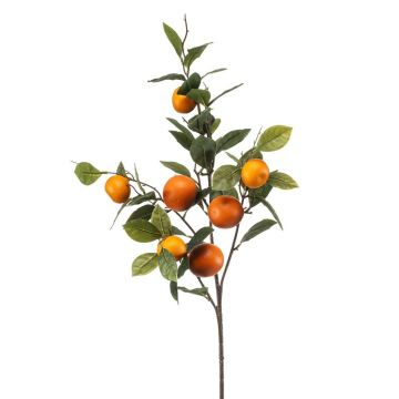 False orange branch QUEOSHA with fruits, orange, 3ft/95cm False orange branch QUEOSHA with fruits, orange, 3ft/95cm