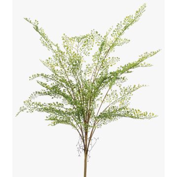 Artificial maidenhair fern GLERAN on a stake, with roots, green, 30"/75cm Artificial maidenhair fern GLERAN on a stake, with roots, green, 30"/75cm
