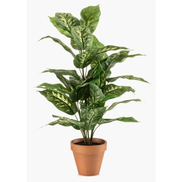 Artificial Dieffenbachia ELSAWA plant in a terracotta pot, green, 26"/65cm Artificial Dieffenbachia ELSAWA plant in a terracotta pot, green, 26"/65cm