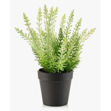 Artificial heather ELSAWO in decorative pot, crossdoor, white-green, 30cm