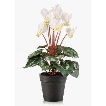 Artificial cyclamen VERIANA in decorative pot, white-green, 12"/30cm Artificial cyclamen VERIANA in decorative pot, white-green, 12"/30cm