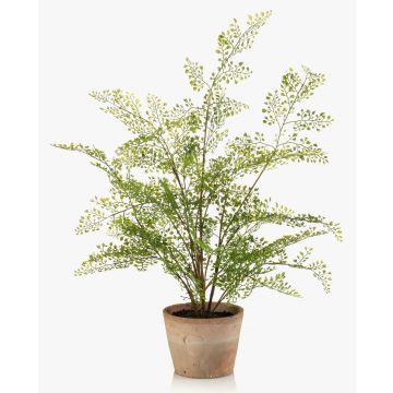 Artificial maidenhair fern GLERAN in a terracotta pot, with roots, green, 26"/65cm