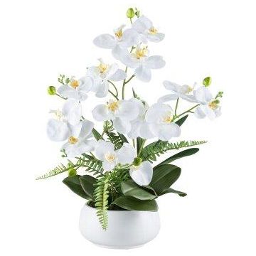 Artificial flower arrangement of orchid and fern SALTER in ceramic bowl, white, 22"/55cm