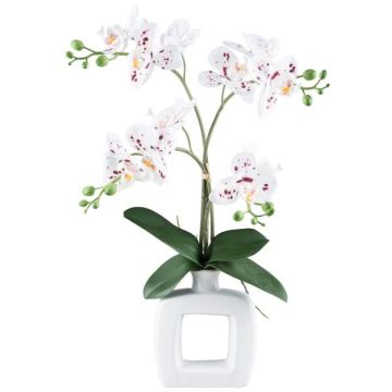 Artificial Phalaenopsis orchid DRUKLON, ceramic vase, roots, white-red, 16"/40cm