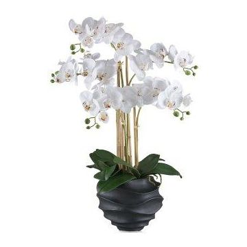 Artificial Phalaenopsis orchid STONFER, black decorative pot, roots, white, 28"/70cm