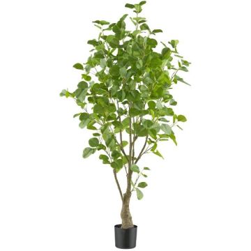 Decorative eucalyptus tree MERNAS, artificial trunk, green, 4ft/130cm Decorative eucalyptus tree MERNAS, artificial trunk, green, 4ft/130cm