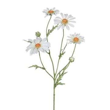 Decorative branch Marguerite CLUVE, white, 24"/60cm