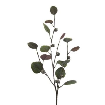 Artificial branch of eucalyptus TRAVON with fruits, green, 30"/75cm