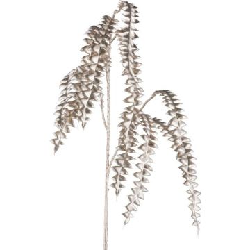 Artificial branch Grevillea TRINOL, champagne, 33"/85cm