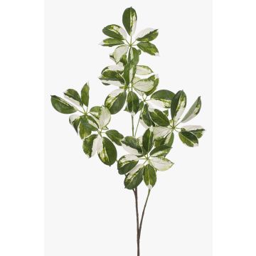 Decorative Schefflera PARVANEH branch, green-white, 4ft/110cm Decorative Schefflera PARVANEH branch, green-white, 4ft/110cm