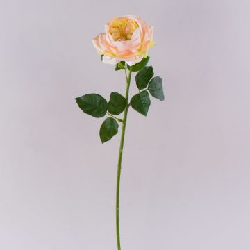 GINAKAL artificial rose, apricot, 65cm