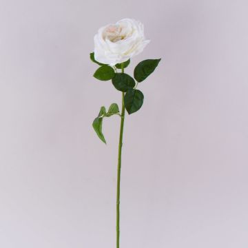GINAKAL artificial rose, cream-white, 65 cm