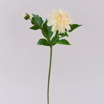 Artificial dahlia WERNYT, cream, 45 cm, Ø10 cm
