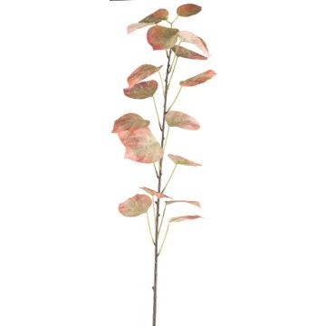 Decorative black poplar branch SOLVEN, red-green, 4ft/120cm Decorative black poplar branch SOLVEN, red-green, 4ft/120cm