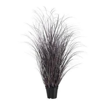 Decorative grass Sedge TAVRE, purple-silver, 3ft/95cm