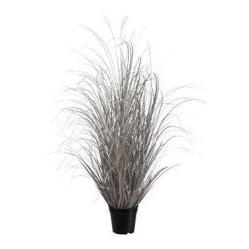 Decorative grass Sedge TAVRE, champagne, 3ft/95cm