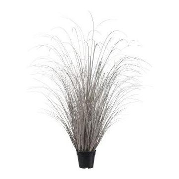 Decorative grass Sedge TAVRE, champagne, 4ft/120cm
