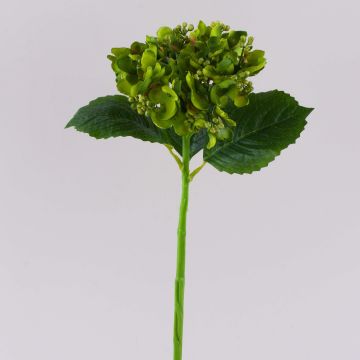 MYNMAR artificial hydrangea, green, 35cm, Ø14cm