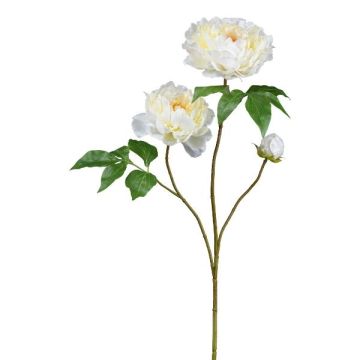Artificial flower branch Peony BROLI, cream, 31"/80cm Artificial flower branch Peony BROLI, cream, 31"/80cm