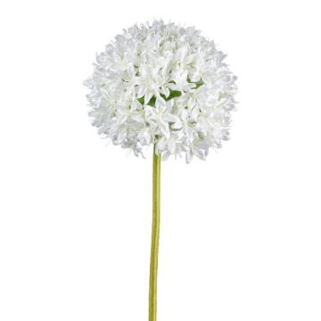 Artificial flower Allium KLATE, white, 3ft/90cm