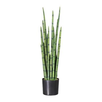 Artificial succulent Sansevieria cylindrica VROSKE, green, 3ft/100cm Artificial succulent Sansevieria cylindrica VROSKE, green, 3ft/100cm