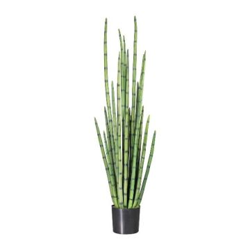 Artificial succulent Sansevieria cylindrica VROSKE, green, 5ft/140cm Artificial succulent Sansevieria cylindrica VROSKE, green, 5ft/140cm
