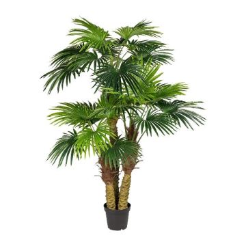 Artificial palm Washingtonia URSUL, 6ft/185cm