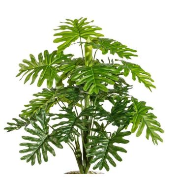 Artificial plant Philodendron Selloum PRINO, spike, 20"/50cm