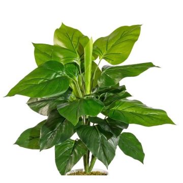 Artificial plant Philodendron Scandens GIMPA, spike, 20"/50cm