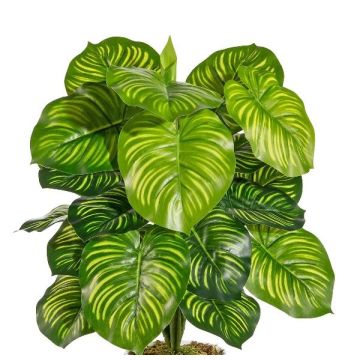 Fake Calathea Orbifolia plant BLAHEN, on a stick, green, 20"/50cm Fake Calathea Orbifolia plant BLAHEN, on a stick, green, 20"/50cm