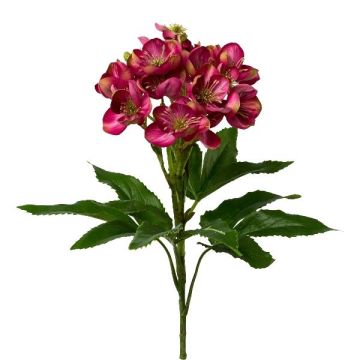 Decorative flower Sweet William TRULK, fuchsia, 24"/60cm Decorative flower Sweet William TRULK, fuchsia, 24"/60cm