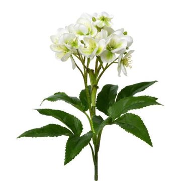 Decorative flower Sweet William TRULK, white, 24"/60cm